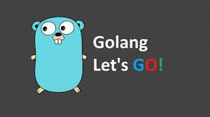 My Go lang Journey - Variable and Constants Declaration in Go.